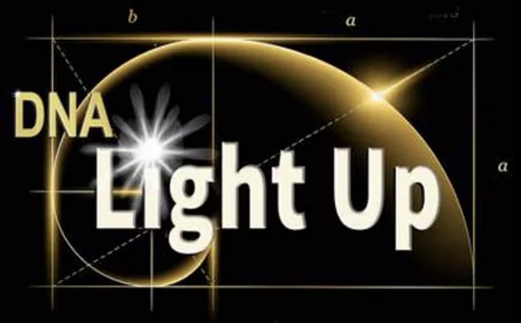 DNA Light Up